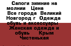 Сапоги зимние на молнии › Цена ­ 5 900 - Все города, Великий Новгород г. Одежда, обувь и аксессуары » Женская одежда и обувь   . Крым,Чистенькая